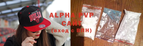 стафф Алексин
