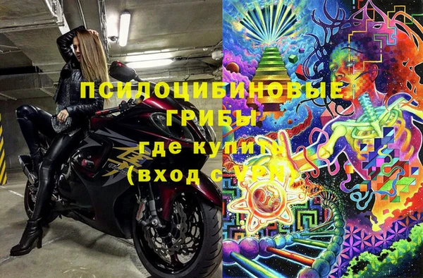 индика Алексеевка
