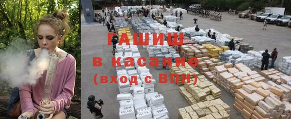 индика Алексеевка