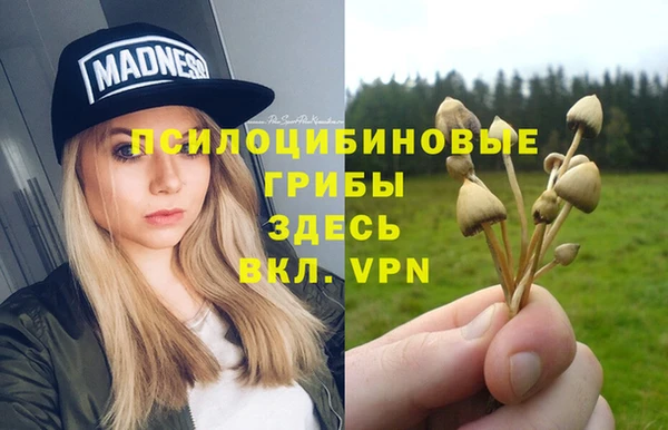 стафф Алексин