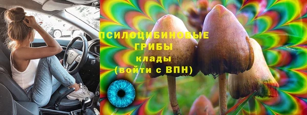 стафф Алексин