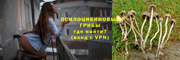 дживик Алзамай