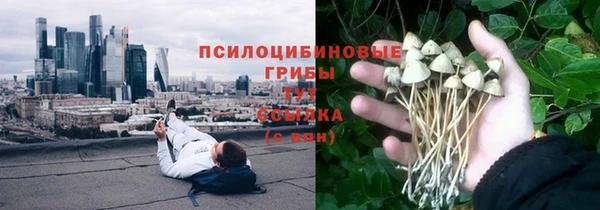 дживик Алзамай