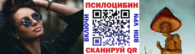 Галлюциногенные грибы Psilocybe  Северская 