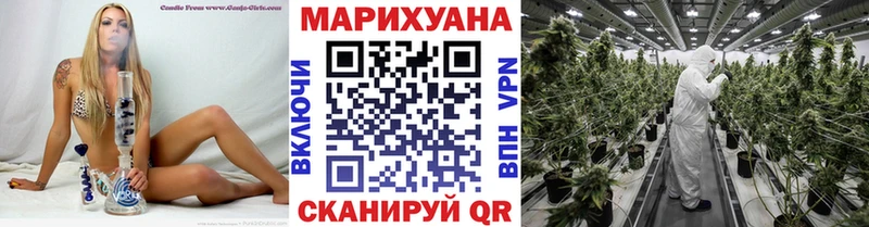 как найти закладки Северская Каннабис SATIVA & INDICA